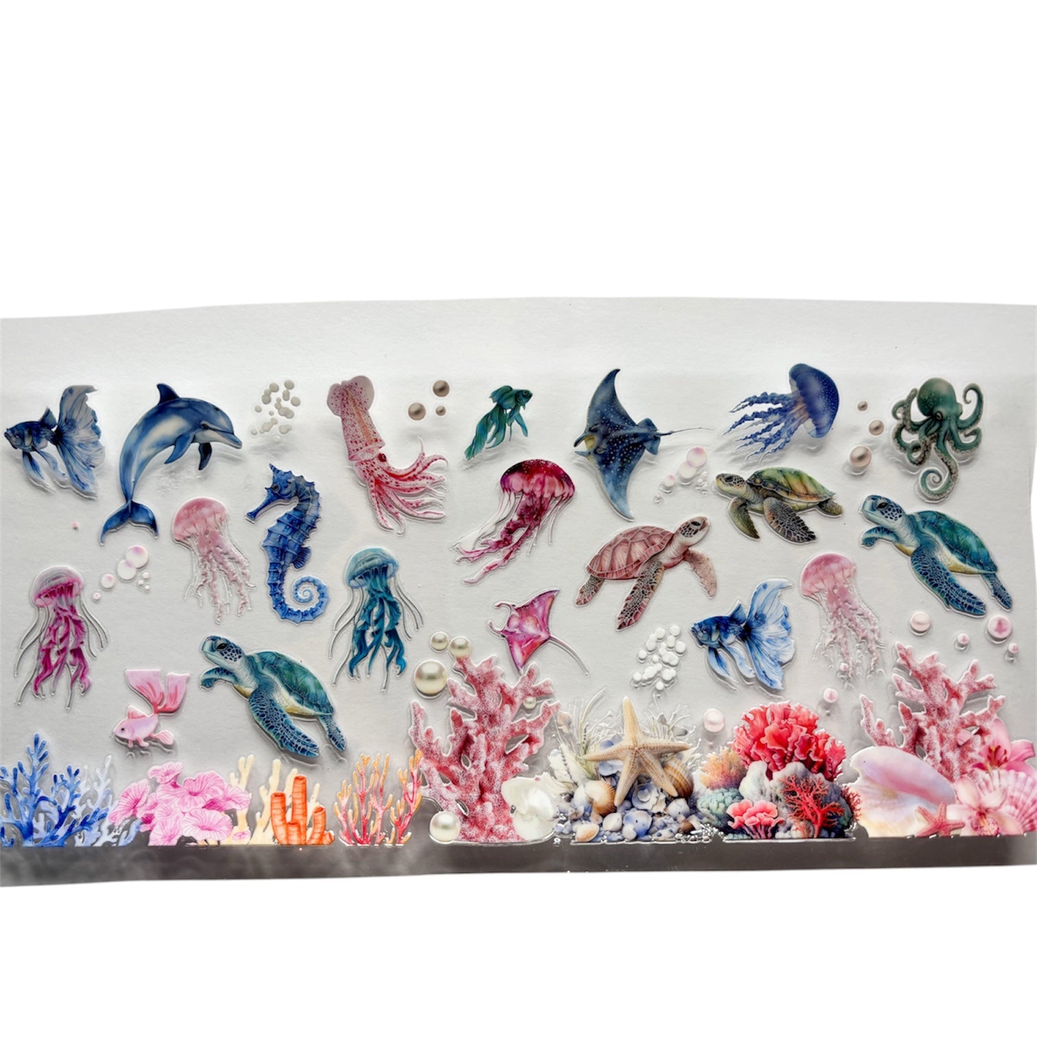 Sea animals