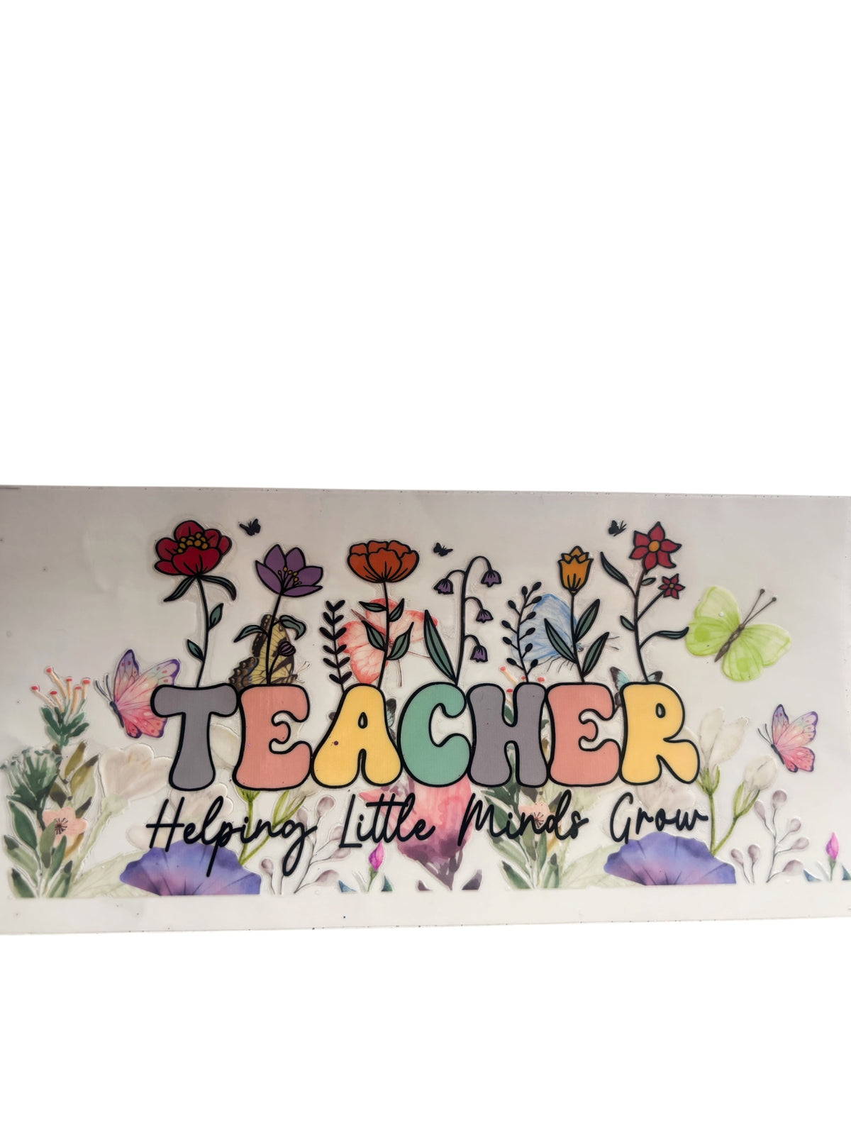 Teacher