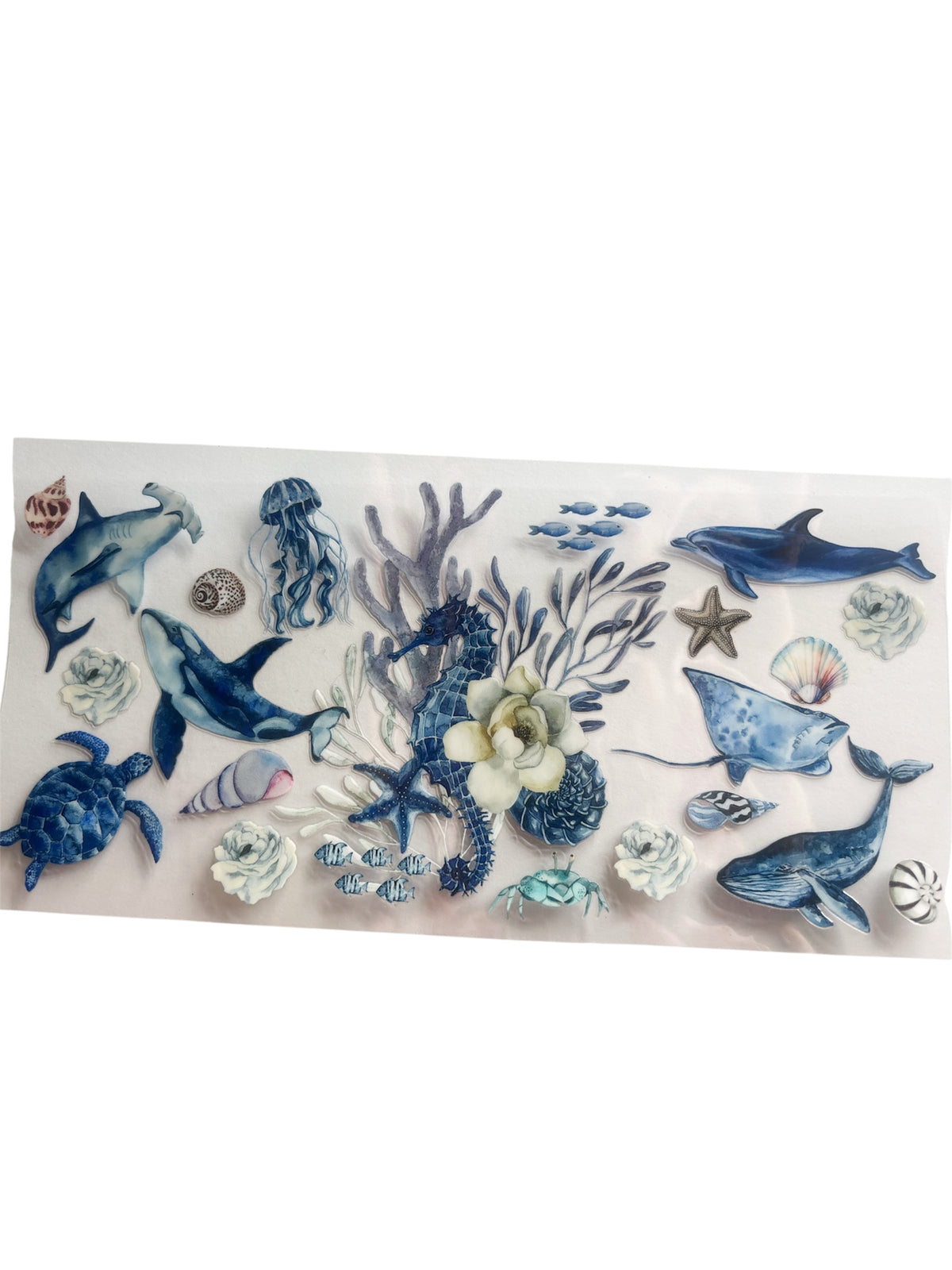 Sea animals
