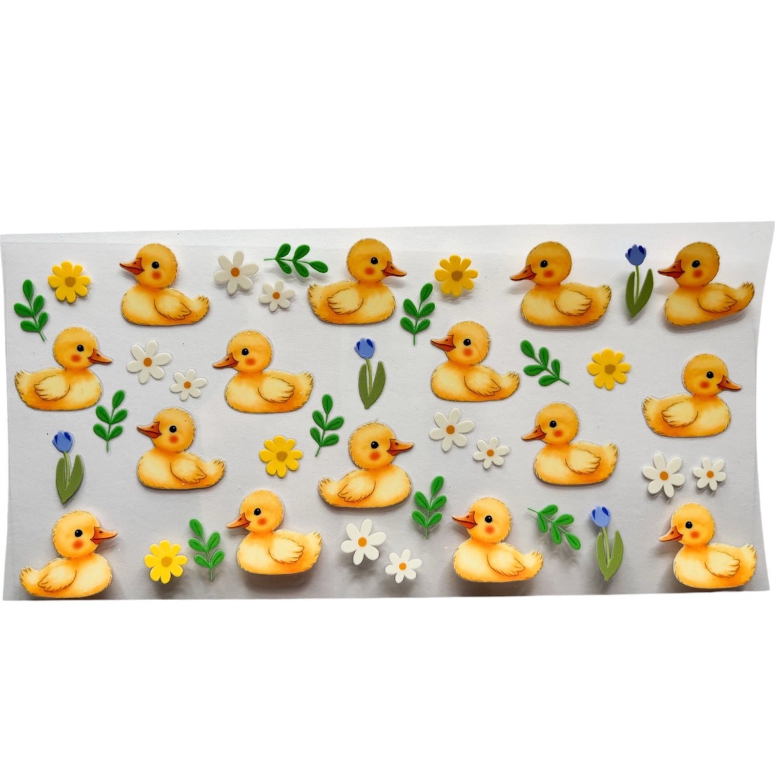 Ducks