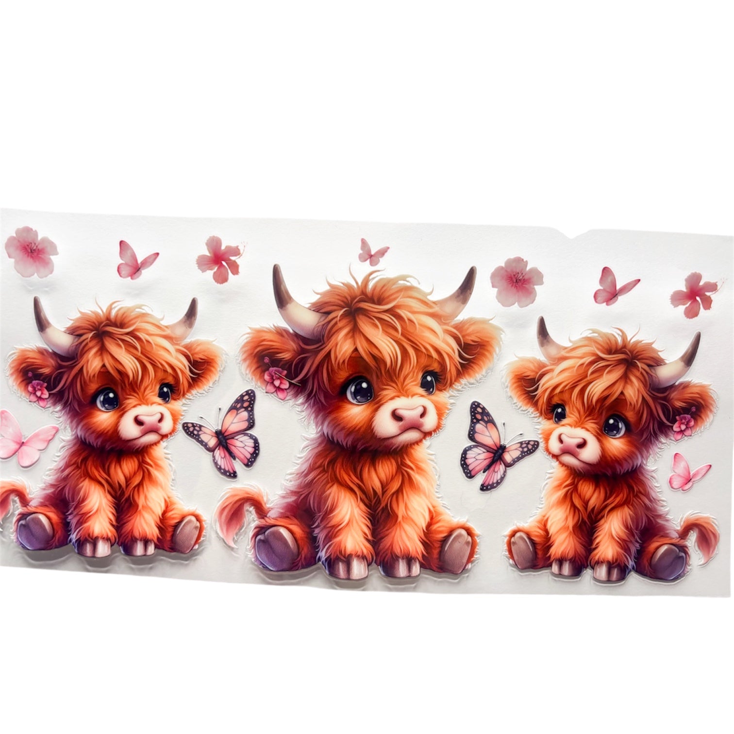 Highland cow