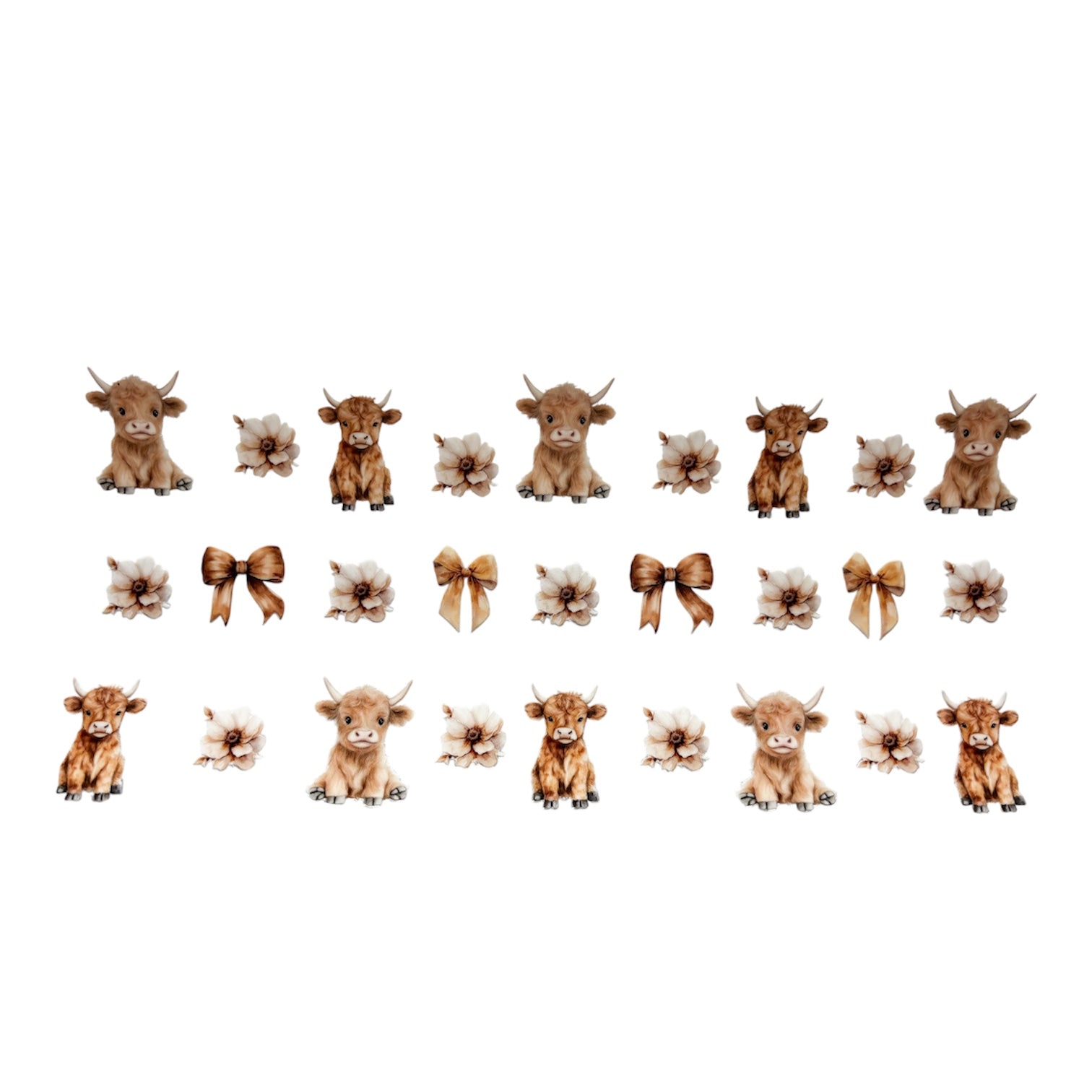 Highland cow