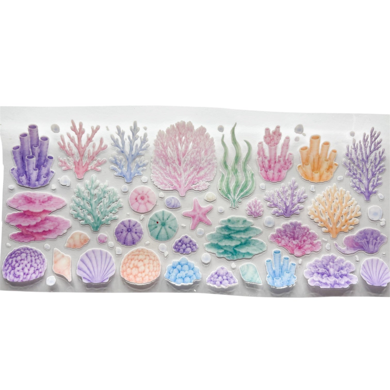 Coral