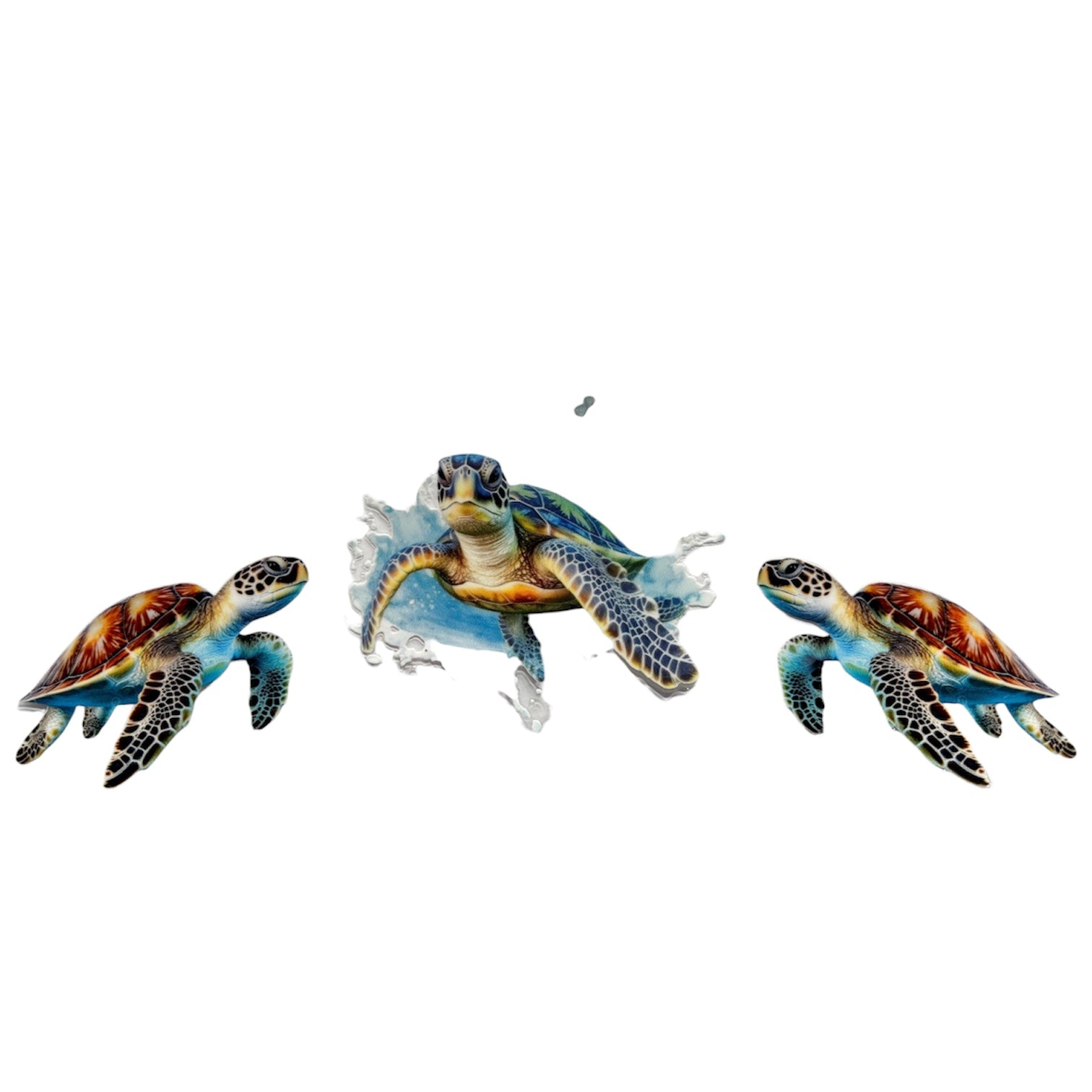 Turtle