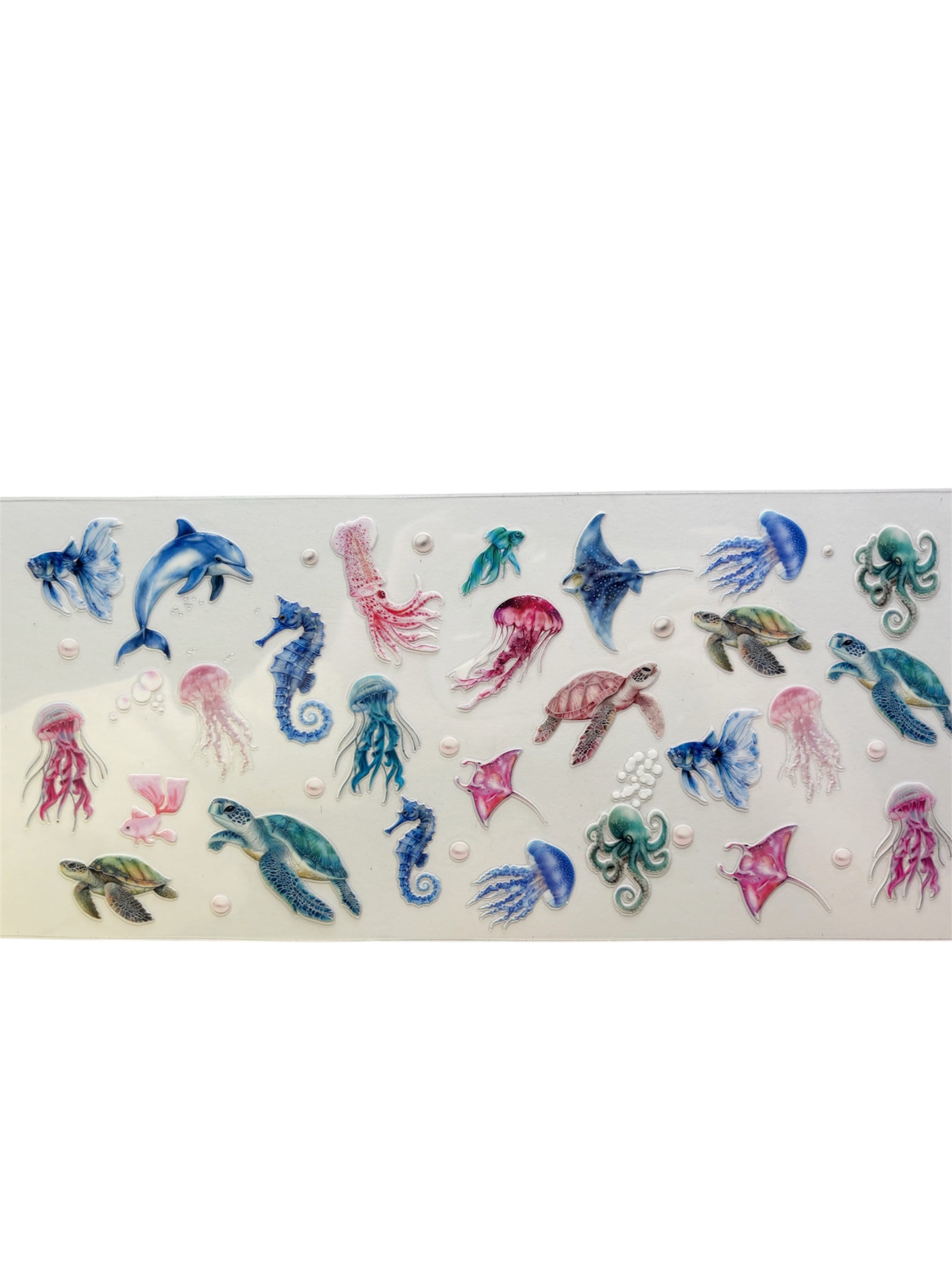 Sea animals