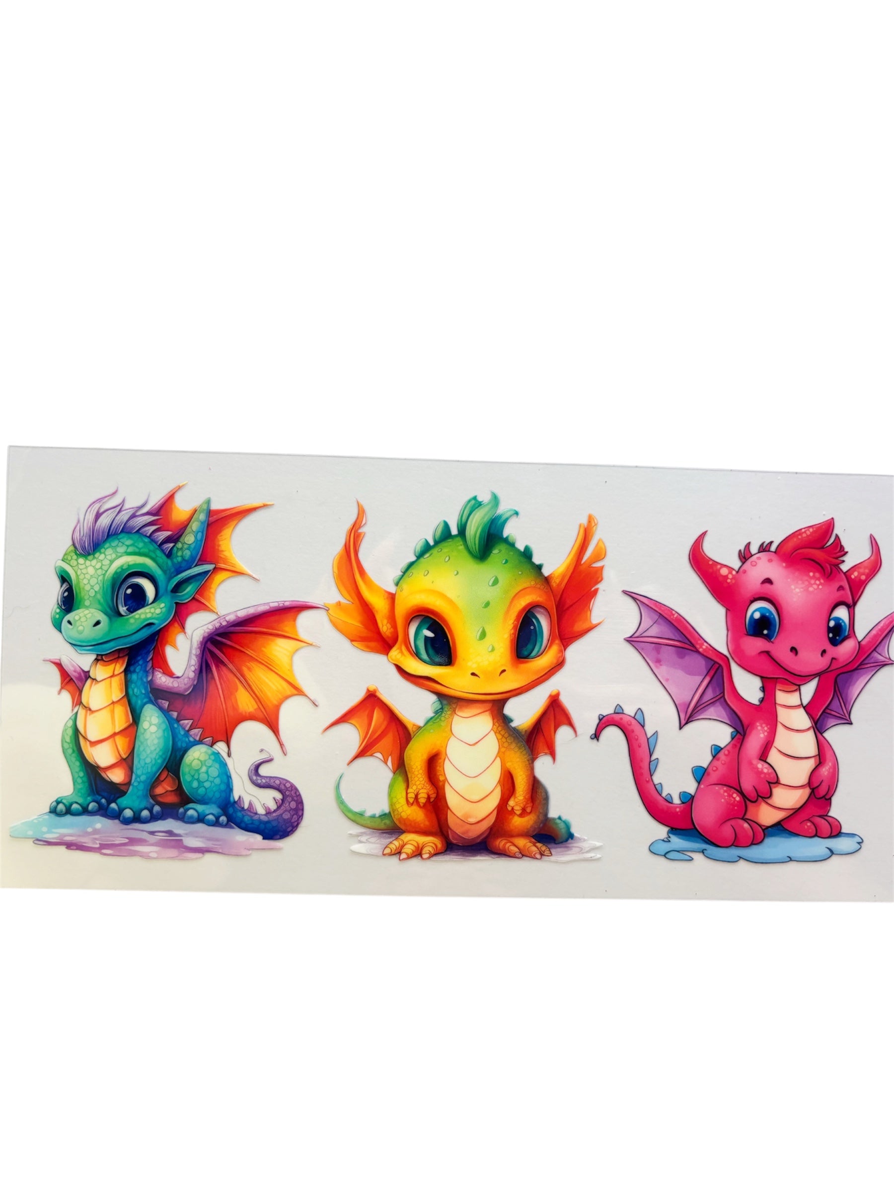 Baby dragons