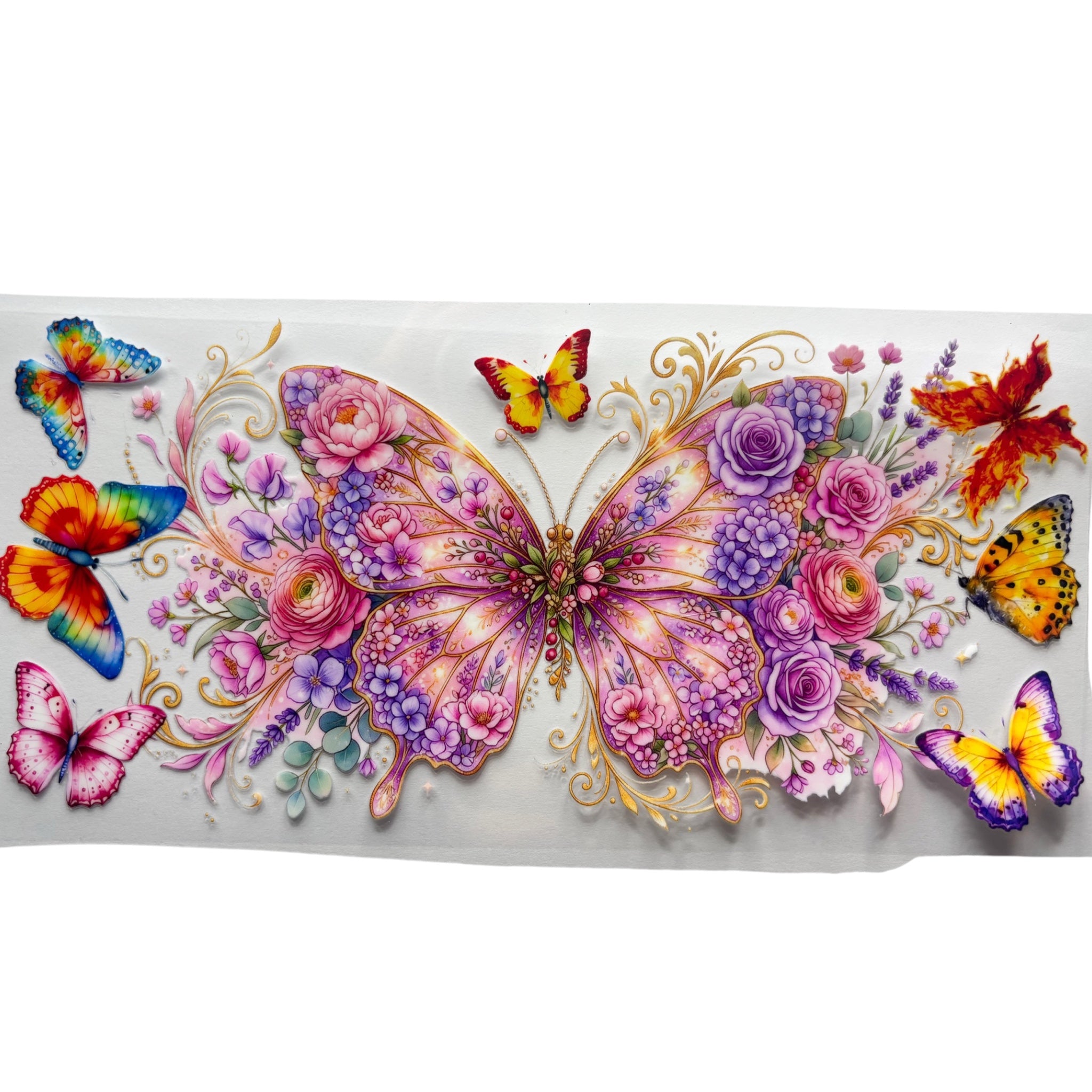 Butterfly
