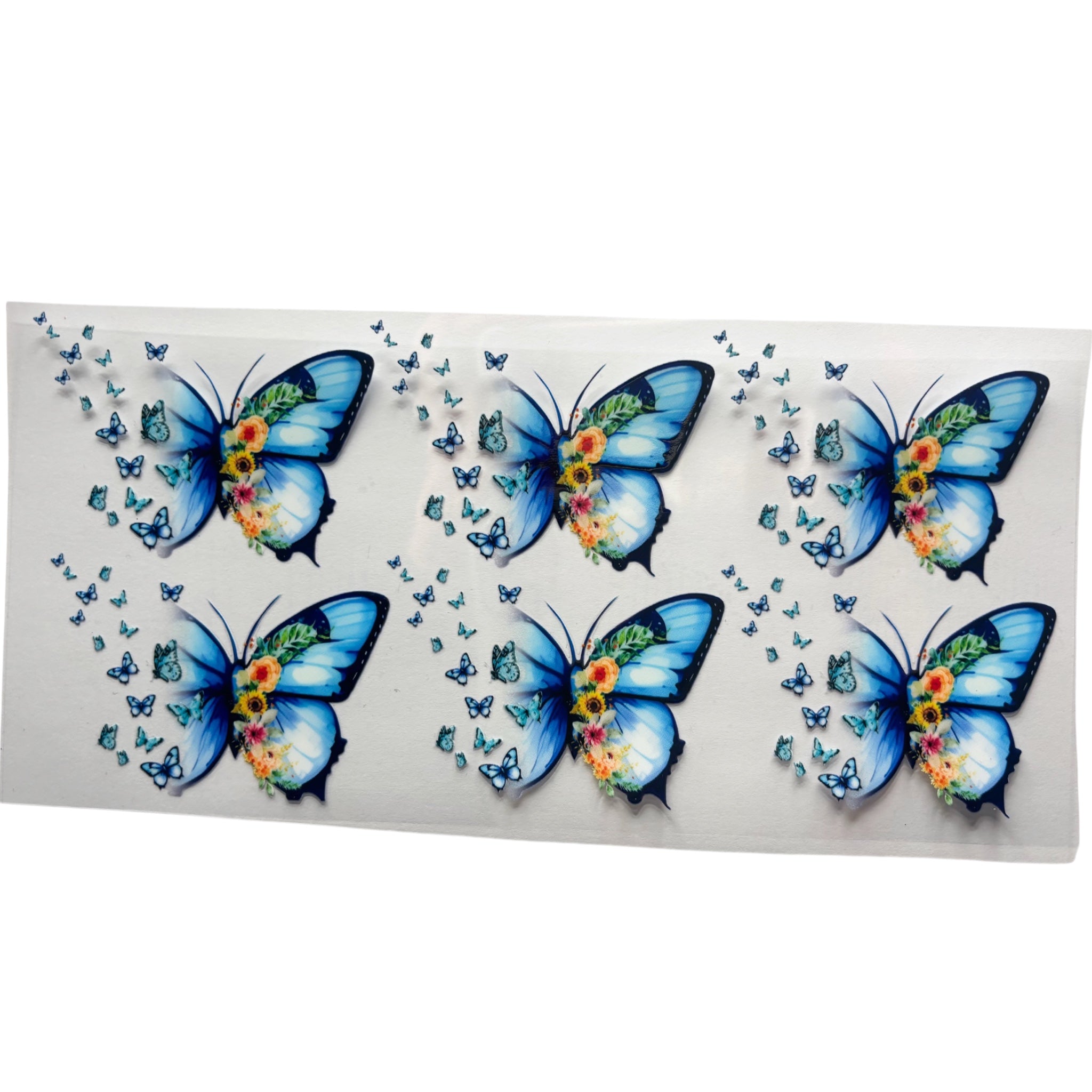 Blue butterfly