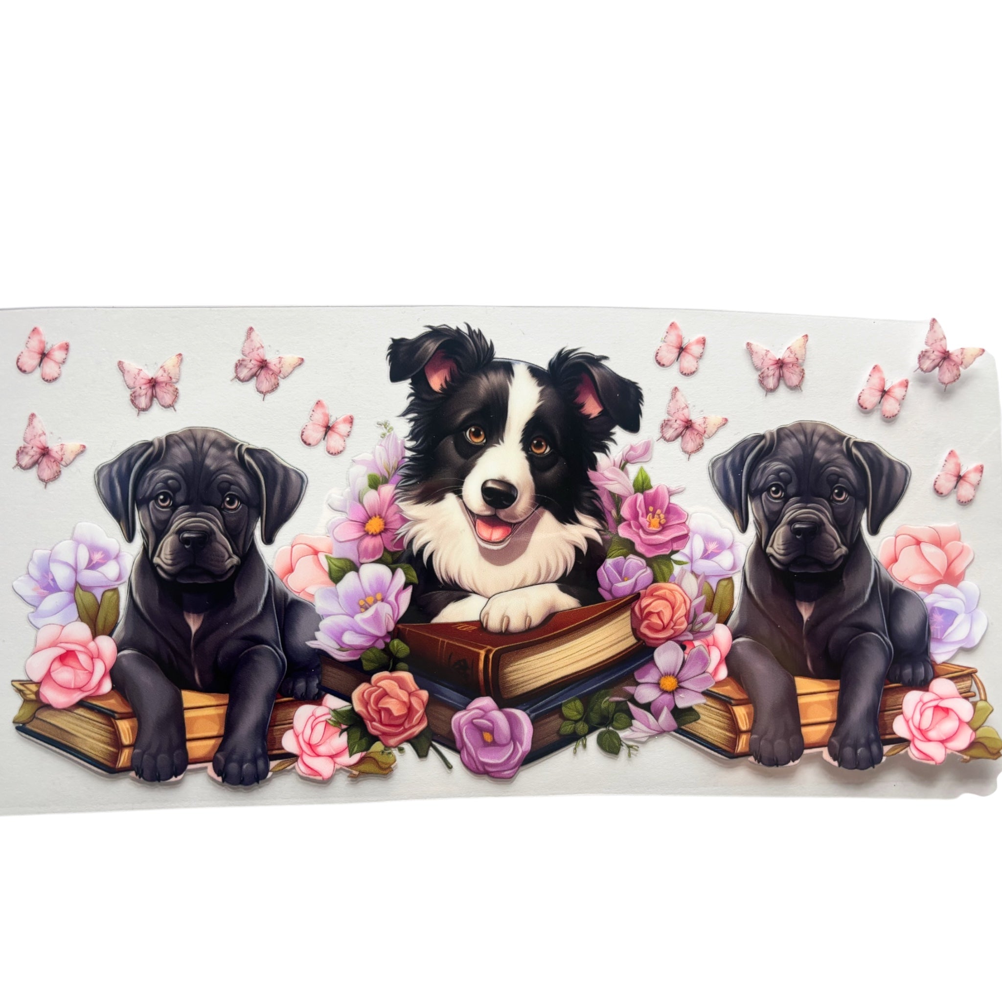 Dogs