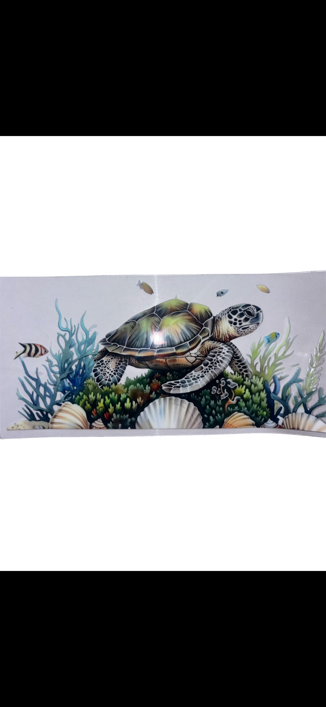 turtle