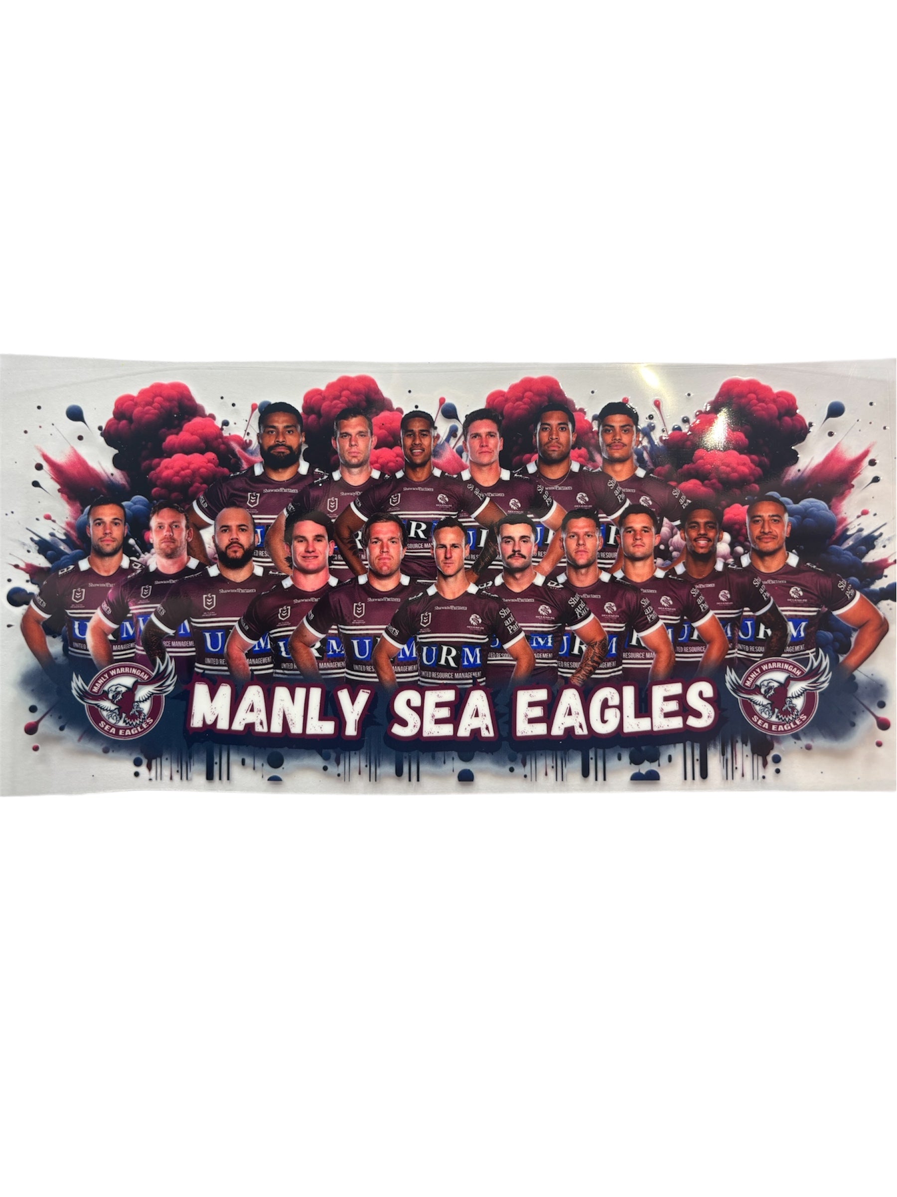 Manly Sea Eagles whole team wrap