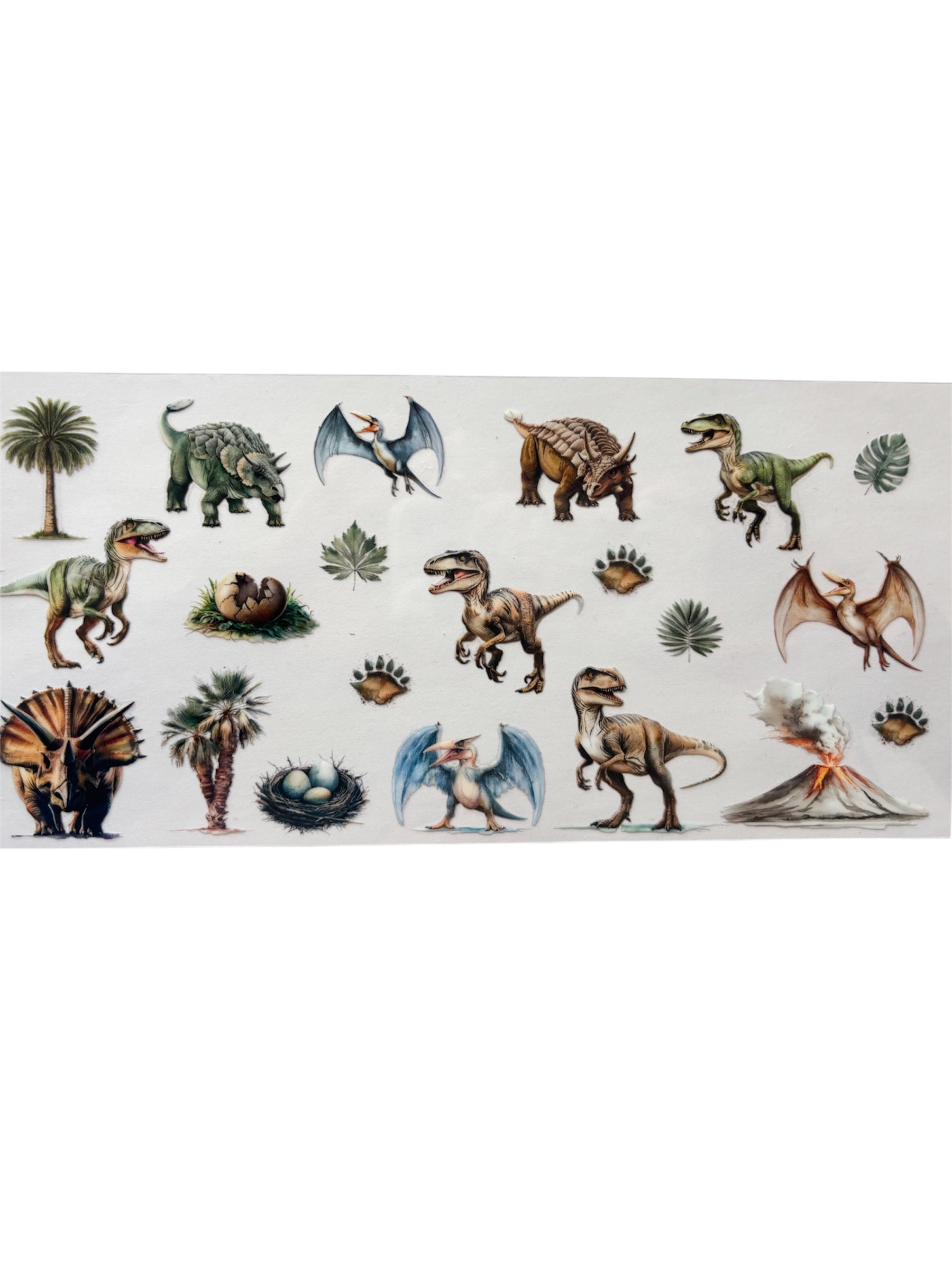 dinosaur