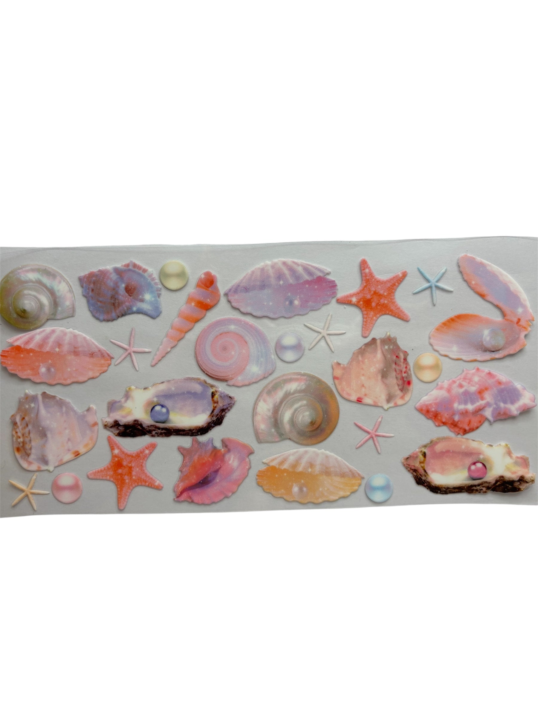 seashells