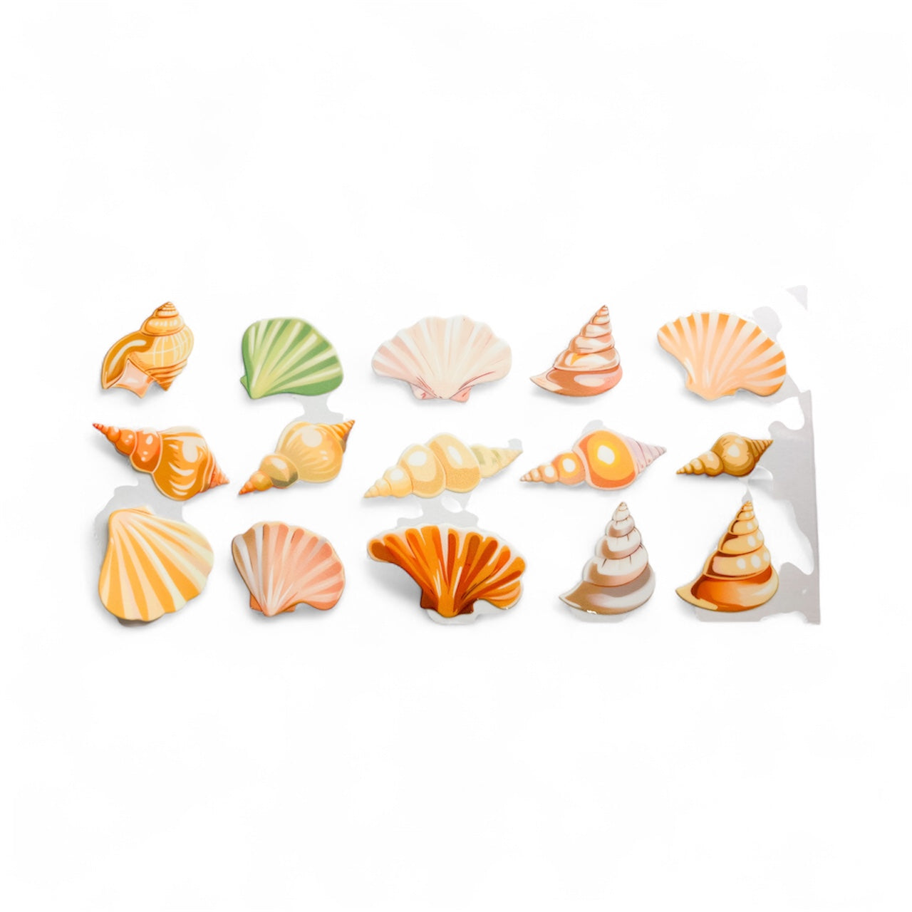 Seashells #1